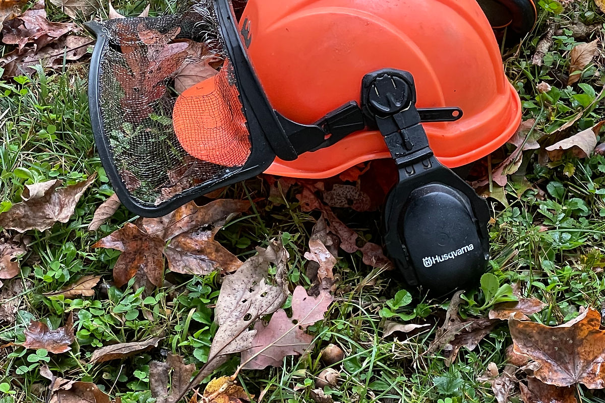 Tree removal project