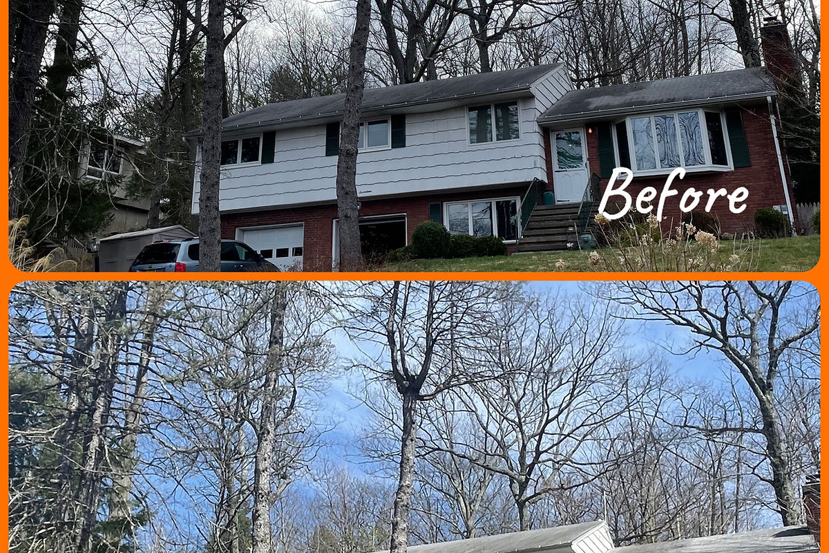 Stump grinding and cleanup